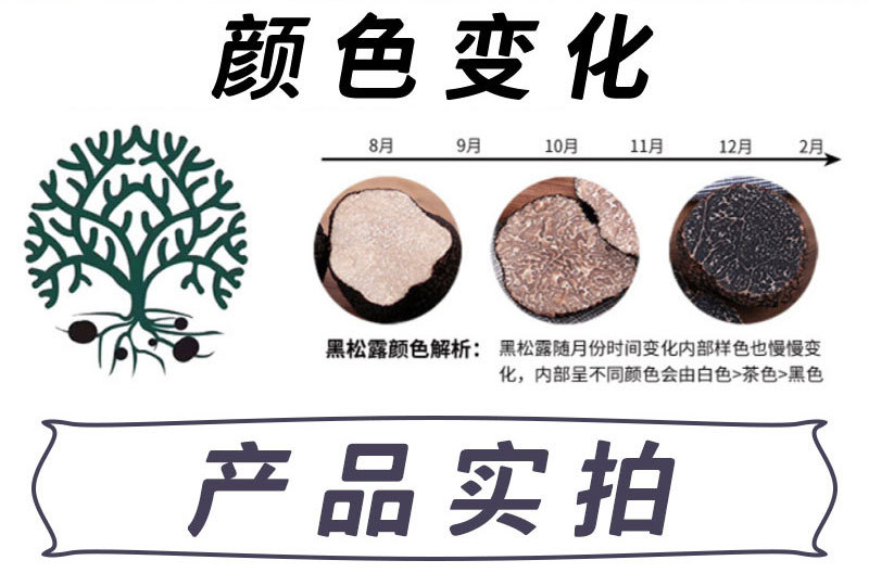 詳情頁分割圖_04.jpg
