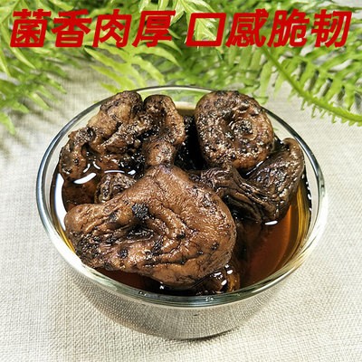 云南特產黑虎掌能爾蘑菇棗翹鱗肉齒菌虎掌菌菇干貨產地批發