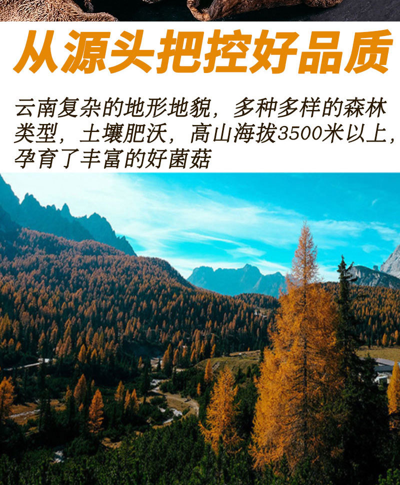 詳情頁-分割圖_03.jpg