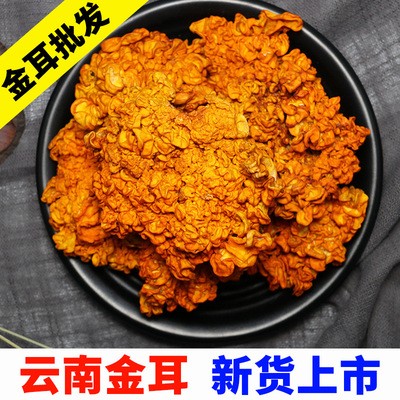 2020新貨云南金耳 干貨金耳菌批發 木耳黃耳腦耳產地 量大從優