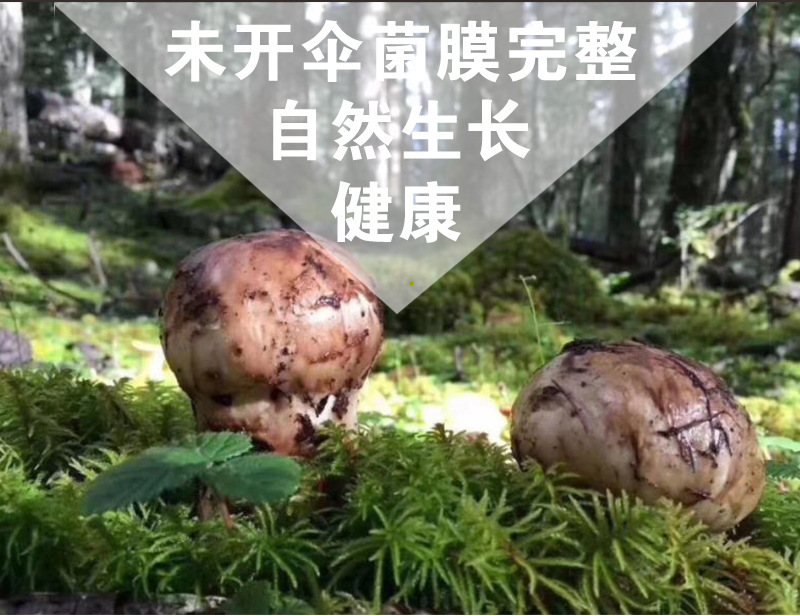 詳情頁_02.jpg