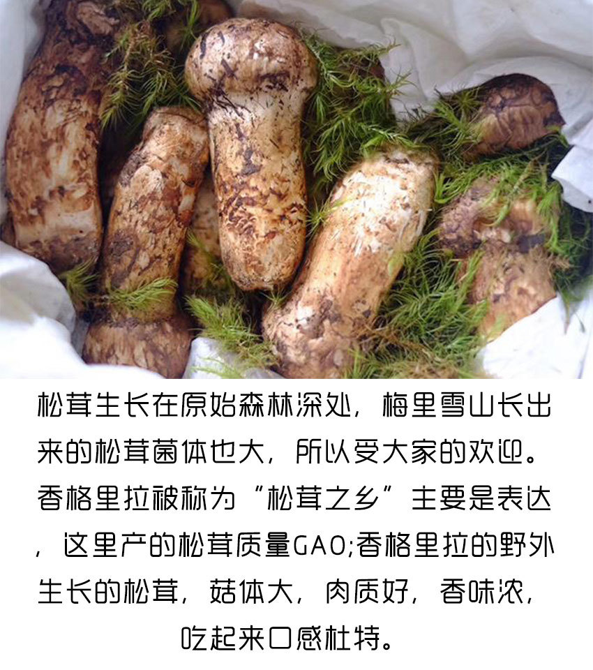 詳情頁_01.jpg