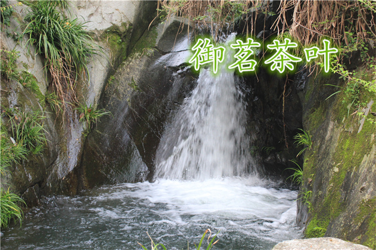 毛峰風景41