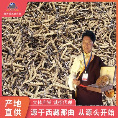 那曲藏蟲(chóng)冬蟲(chóng)夏草西藏-蟲(chóng)草王 順豐包郵冬蟲(chóng)夏草產(chǎn)地貨源批發(fā)