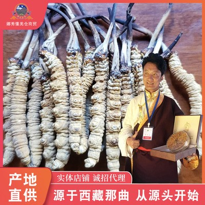 西藏那曲冬蟲(chóng)夏草精選三條一克 順豐包郵精 支持到付