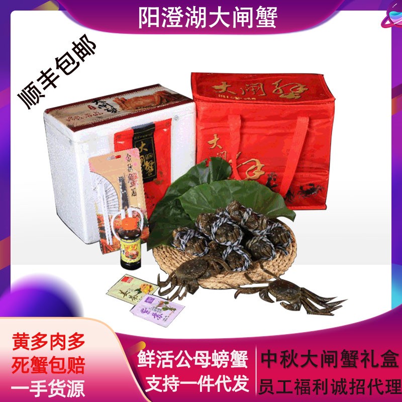 廠家供應大閘蟹對蟹 公4.3-4.0兩 母3.3-3.0兩 中秋禮品現貨包郵