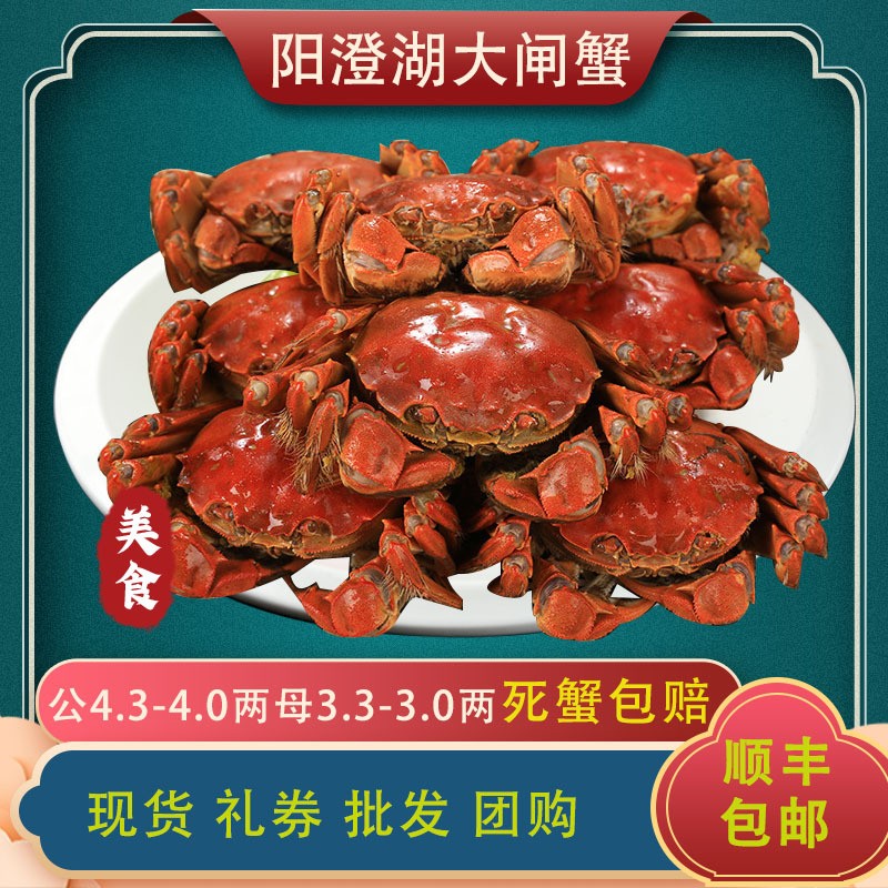 生鮮中秋禮物 陽澄湖大閘蟹公4.3-4.0兩3只母3.3-3.0兩3只禮盒裝