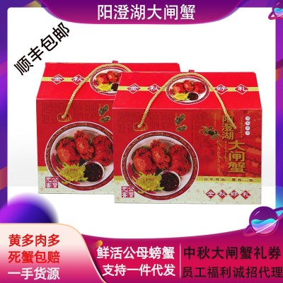 批發包郵陽澄湖大閘蟹 公3.7-3.5兩5只母2.5-2.8兩5只 中秋節禮品