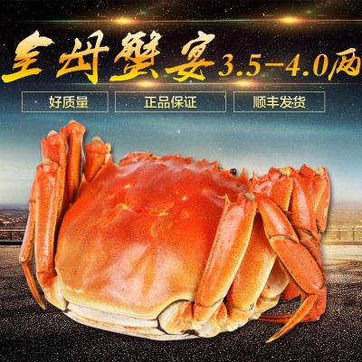 陽澄湖大閘蟹全母蟹套餐3.5-4.0兩鮮活螃蟹禮盒死蟹包賠順豐