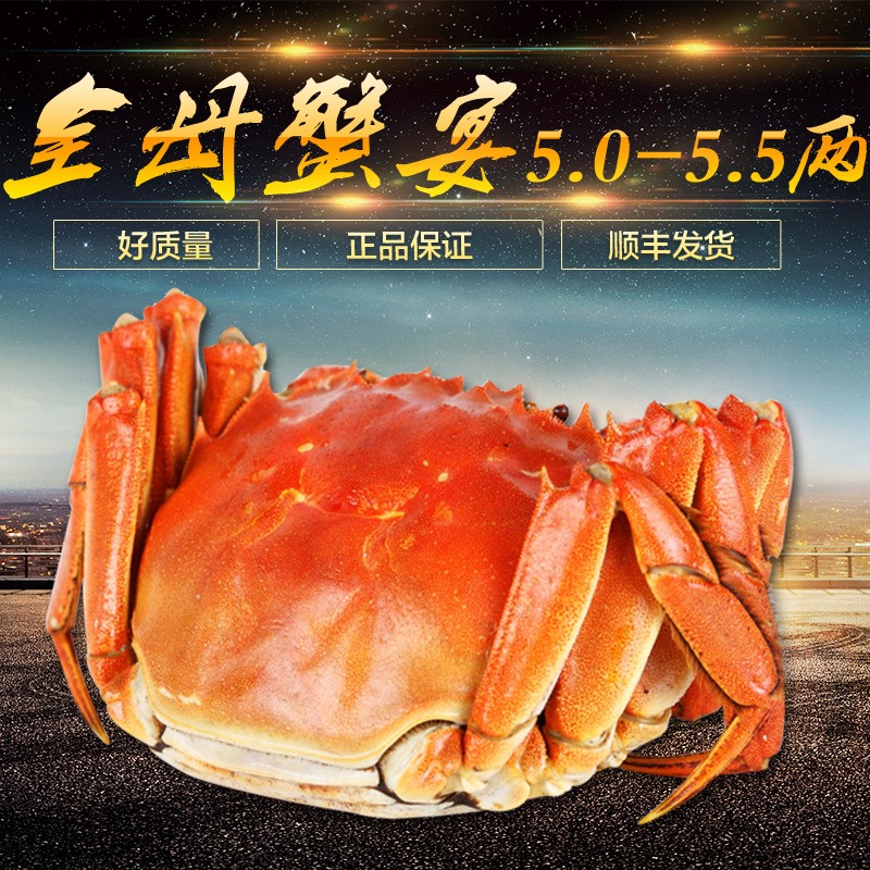 陽澄湖大閘蟹全母蟹套餐5.0-5.5兩鮮活螃蟹禮盒代發【5兩母蟹】