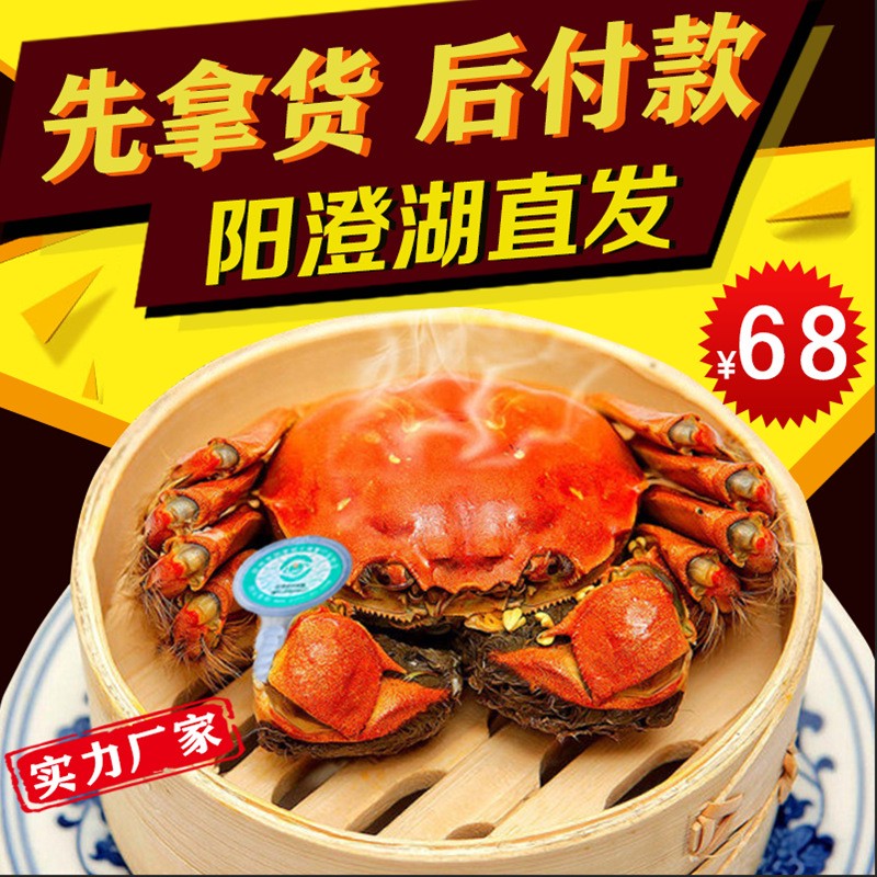 【鮮活螃蟹】陽澄湖大閘蟹螃蟹禮券蟹卡蘇州淡水蟹禮盒裝提貨卡券