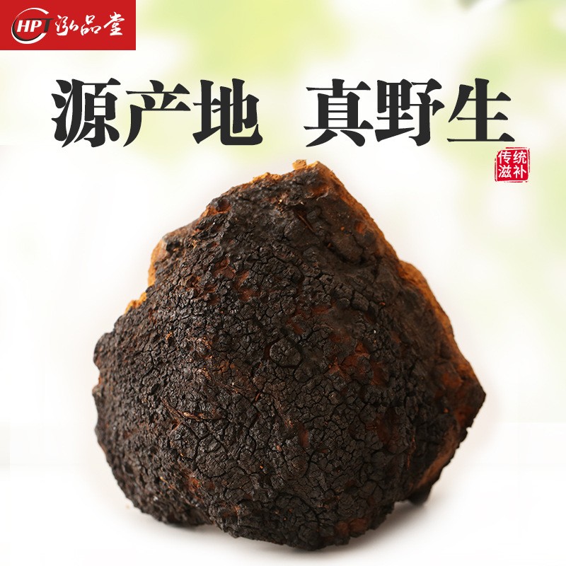 產地批發樺樹茸 500g東北特產長白山帶黑金大個白樺茸樺褐孔菌