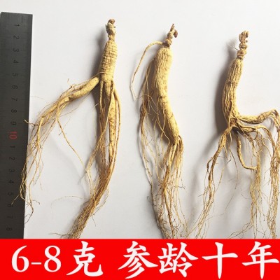 自產自銷 批發長白山山參 林下參十年根6-8克