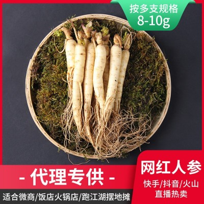 批發(fā)長(zhǎng)白山帶土鮮人參泡酒保鮮參可代發(fā)產(chǎn)地貨源吉林1元鮮參
