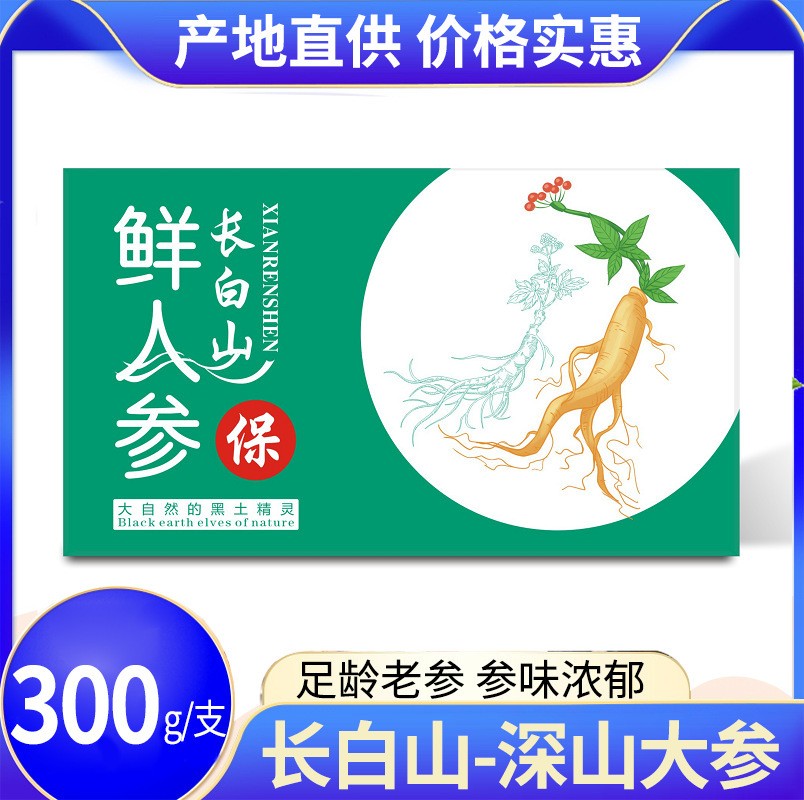 【深山大人參】長白山鮮人參單支300g禮盒裝 禮品盒人參 廠家批發