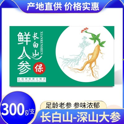 【深山大人參】長白山鮮人參單支300g禮盒裝 禮品盒人參 廠家批發