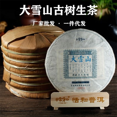 大雪山普洱茶生茶餅云南普洱茶古樹茶七子餅茶一件代發生普357g