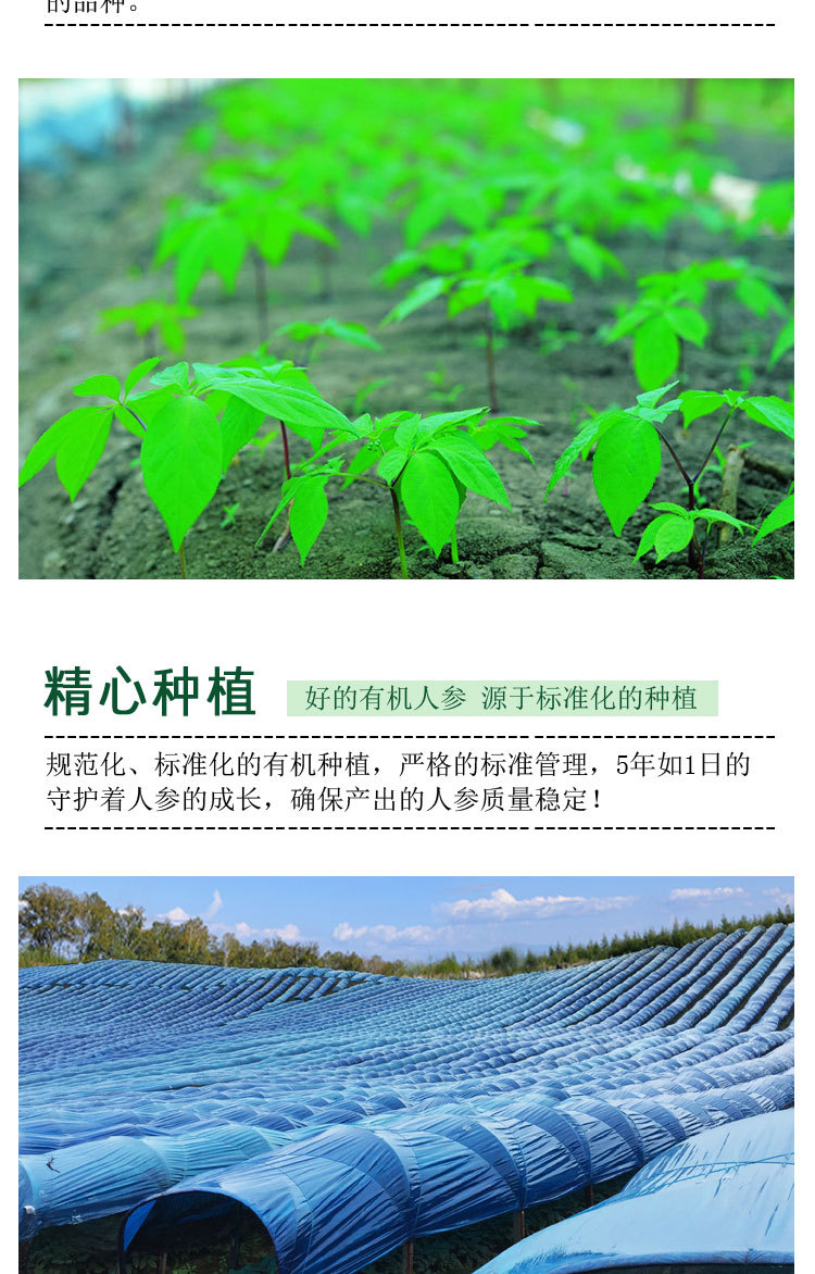 放在詳情圖的企業文化介紹部分_04