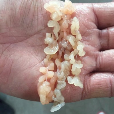 長白山雪蛤線油 180倍泡發(fā)率足林蛙油雪蛤膏蛤蟆油廠家批發(fā)