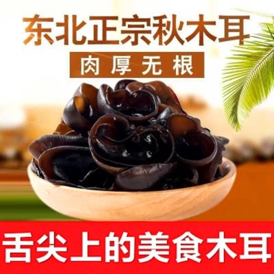 【長白山發貨】黑木耳 長白山秋木耳 東北椴樹木耳小碗耳