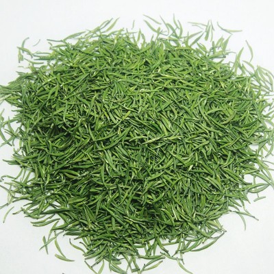 2021年新茶 貴州雀舌 綠茶 茶葉 500g散裝批發