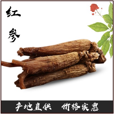吉林東北特產人參廠家批發 長白山人參無糖紅參光枝500克5-6年參