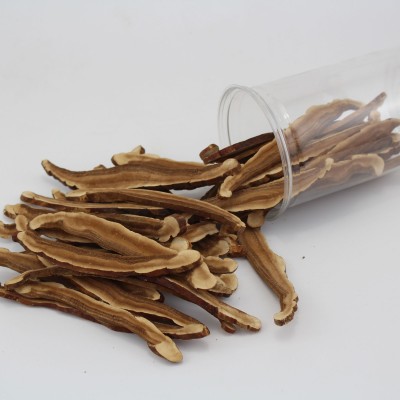 大量批發(fā) 長(zhǎng)白山特產(chǎn)半野生紫靈芝 赤靈芝片 靈芝切片 產(chǎn)地直銷