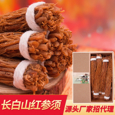 長白山人參須 吉林紅參無糖 紅參須捆5-6年含量高產(chǎn)地直銷