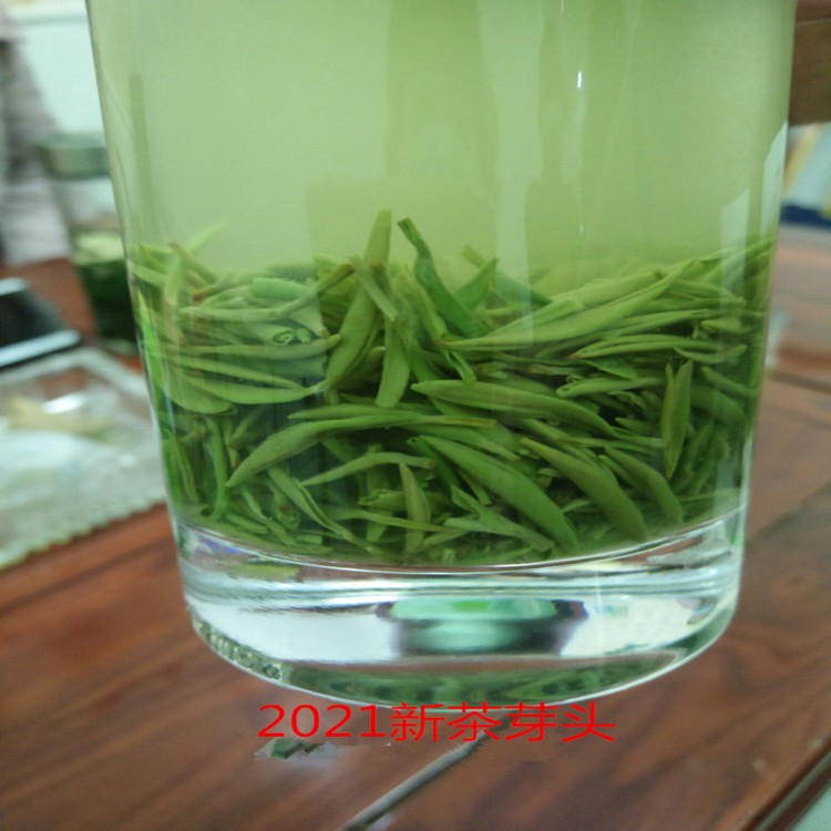 廠家批發信陽明前毛尖2022新茶高山云霧茶散裝 嫩芽 綠茶 預售