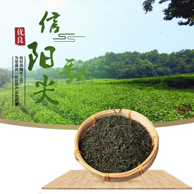 新茶信陽毛尖茶毛峰春茶高山綠茶 嫩芽OEM現貨批發進貨一件代發