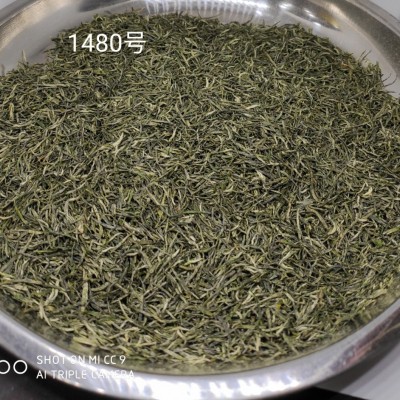 直供500克信陽毛尖明前小芽回味甘甜