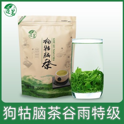 2021新茶春茶江西遂川狗牯腦谷雨前特級早春炒青綠茶茶葉一件 代發
