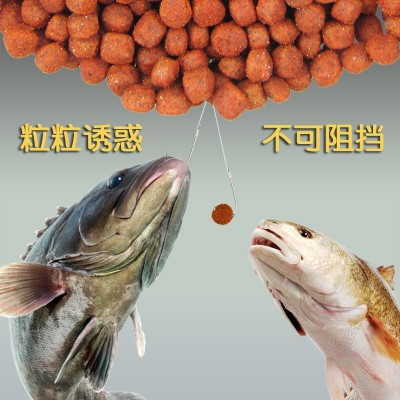 狂釣大師 鯽魚餌 鯉魚草魚羅非顆粒餌料 黑坑釣魚大師 垂釣魚餌料