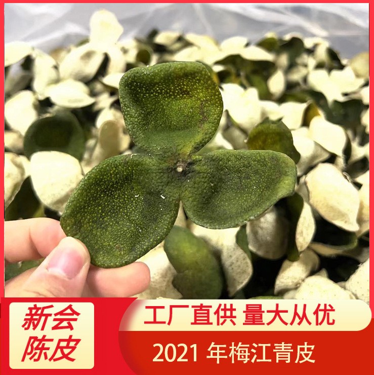 2021年梅江青皮 橘皮圈枝柑 新會陳皮 廣東特產 實力工廠大量批發