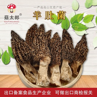 菇太郎批發羊肚菌原產地頭茬羊肚菌干貨散裝 現貨批發可出口商檢