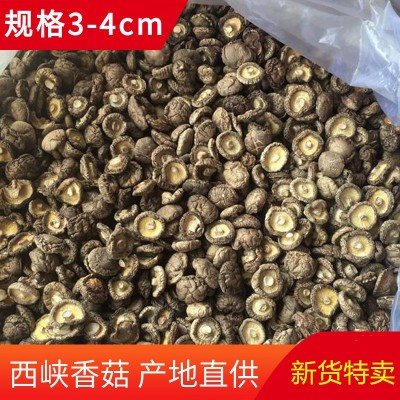 西峽香菇干貨500g產地直發冬厚菇薄菇香信批發散裝香菇干剪角新貨