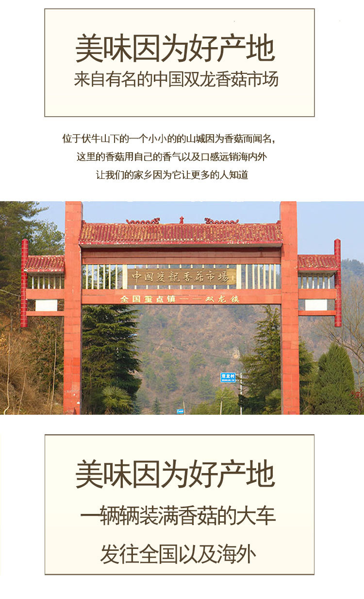 薄菇詳情_02