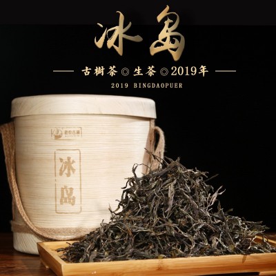 頭春冰島野韻古樹生普洱茶私藏散裝茶葉蜜蘭花香廠家批發老農古林