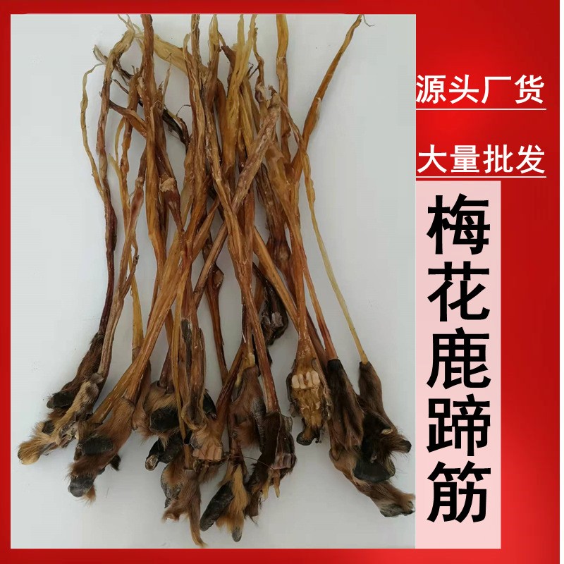 鹿筋 干鹿筋 梅花鹿蹄 批發(fā) 煲湯泡酒