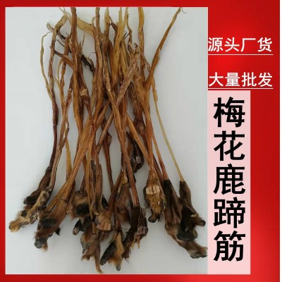 鹿筋 干鹿筋 梅花鹿蹄 批發(fā) 煲湯泡酒