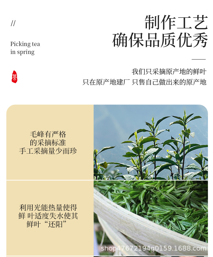 綠茶1_06.jpg
