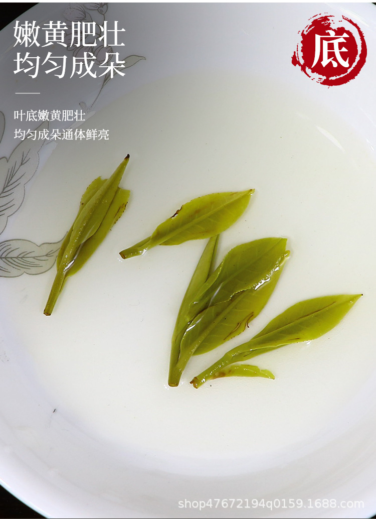 綠茶1_10.jpg