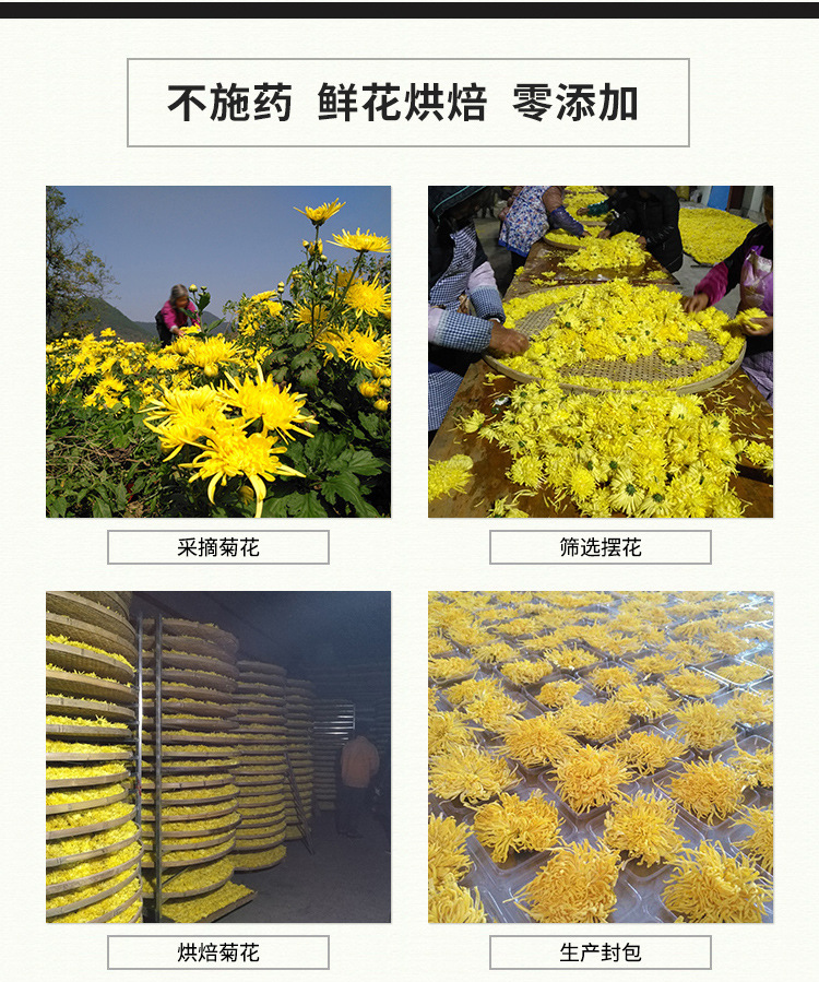 金絲皇菊（袋裝2）_08