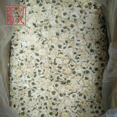 七月菊散裝批發(fā)500g 新花 黃山白菊花七月大板花源產(chǎn)地非黃山貢菊