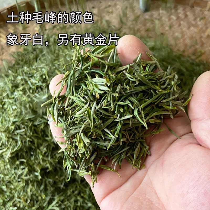 2022新茶黃山毛峰散裝批發(fā)明前濃香型安徽黃山綠茶葉土種毛尖春茶