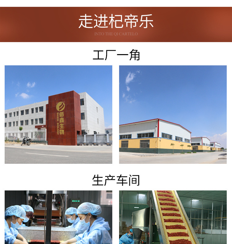 鐗圭駭100璇︽儏_08