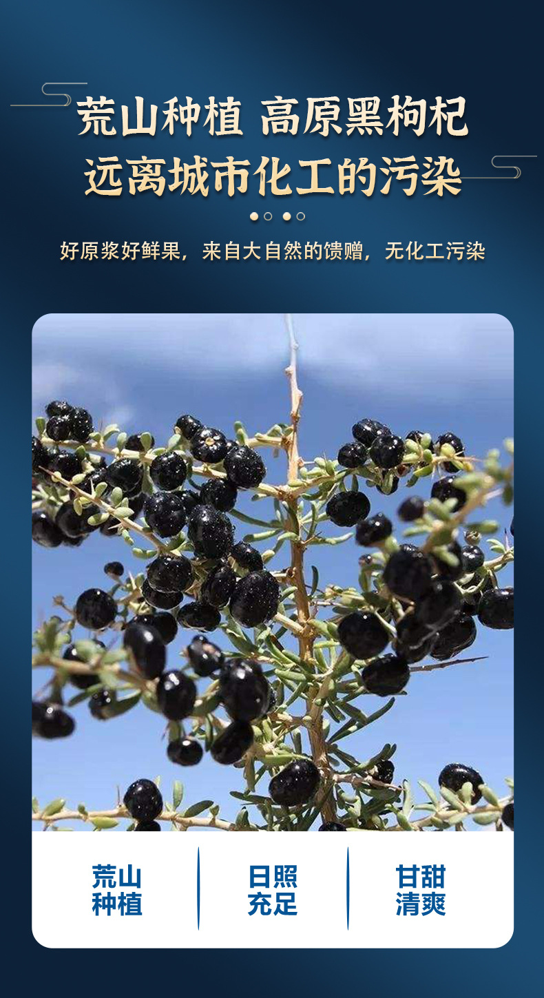 詳情 (6).jpg