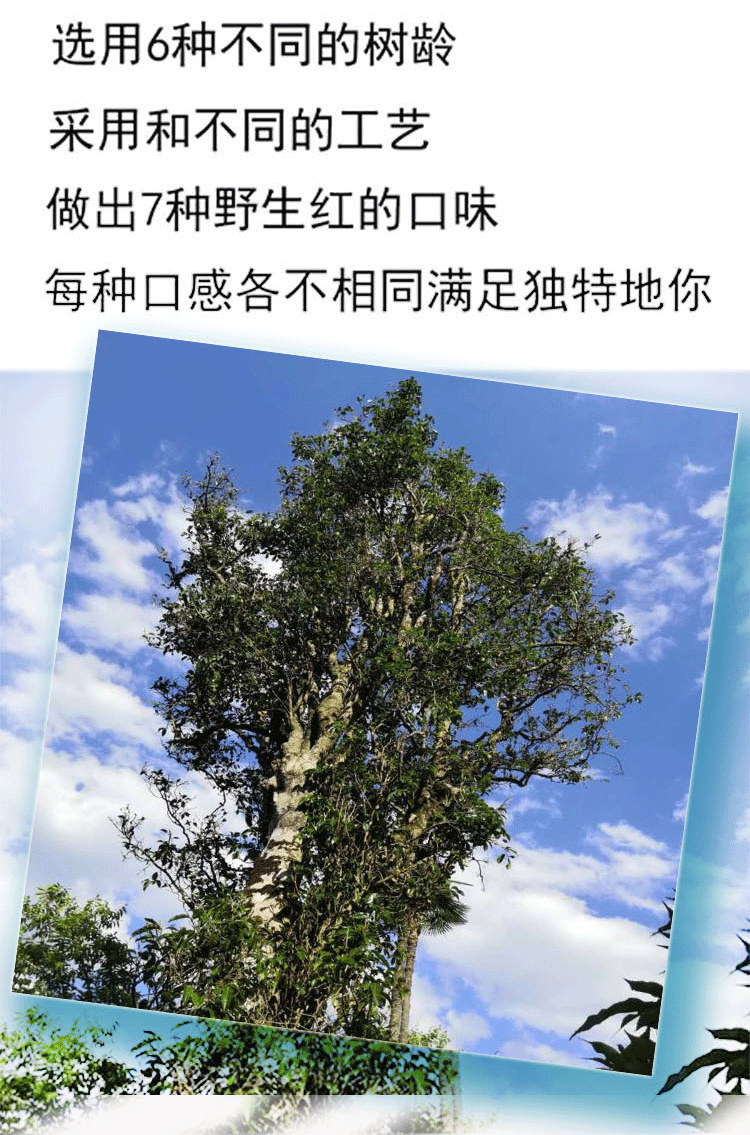 未標題-1_04